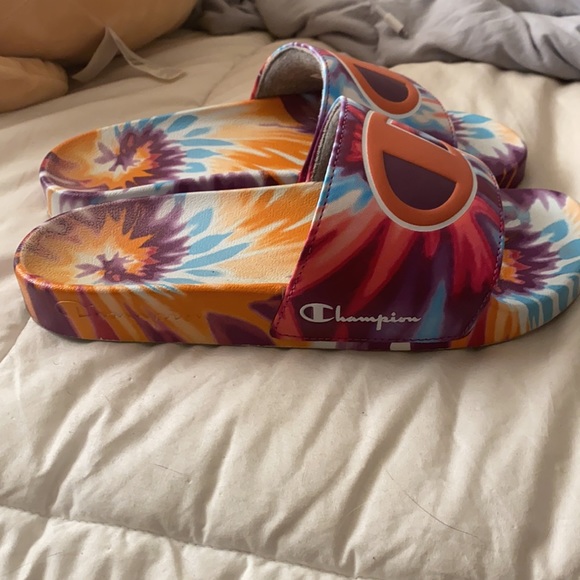 Champion slides - Picture 4 of 4